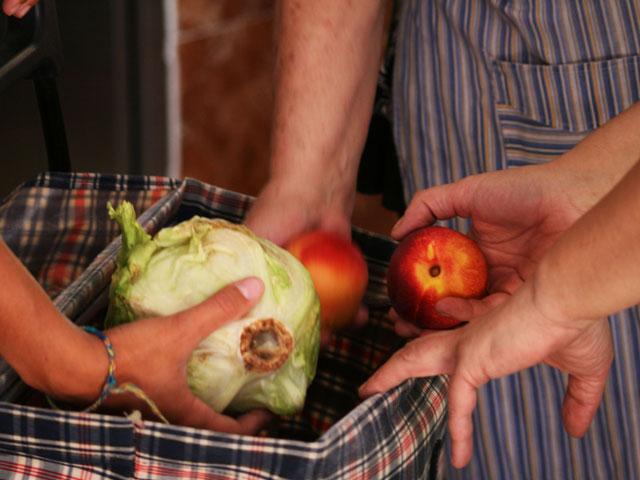 Reparto de alimentos